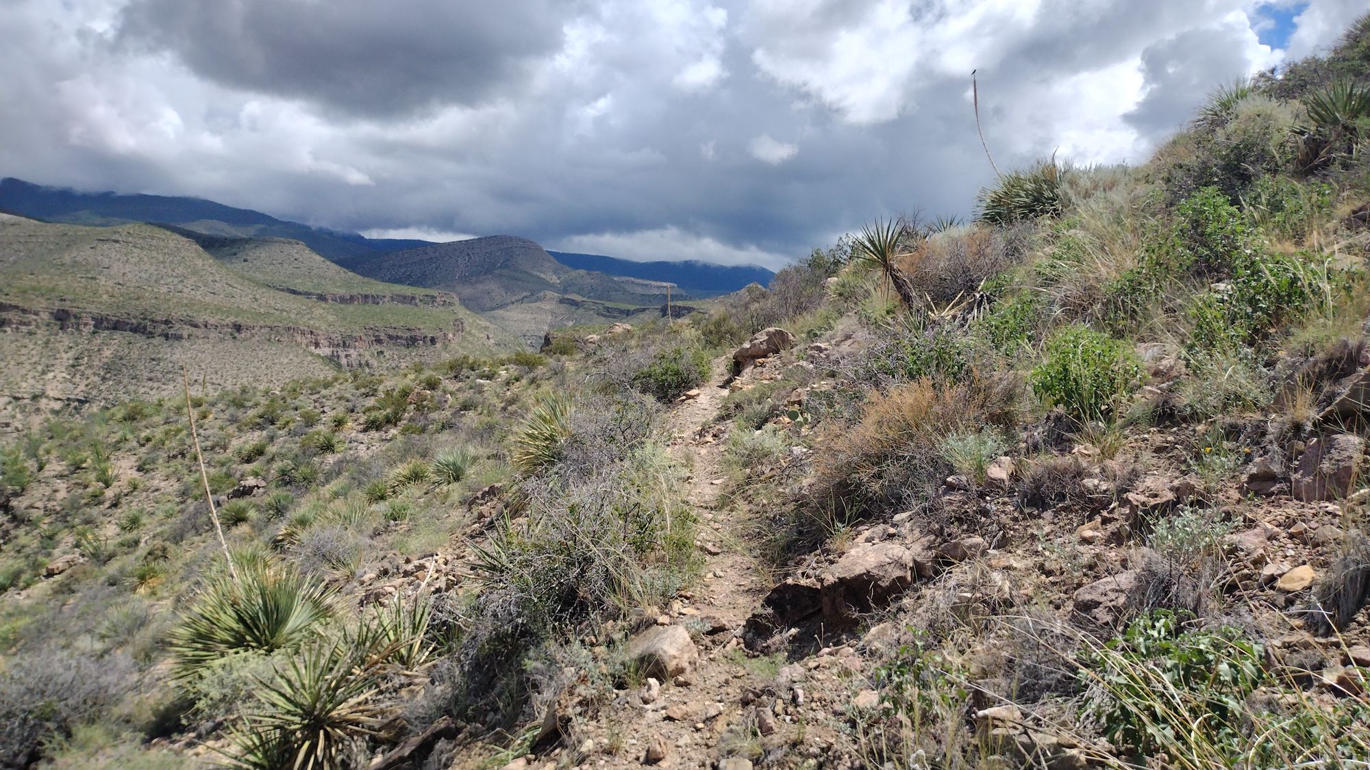 gene simmons lonly caz he has no frenz. tryin to raise a mummy as captive companion