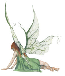 fairy