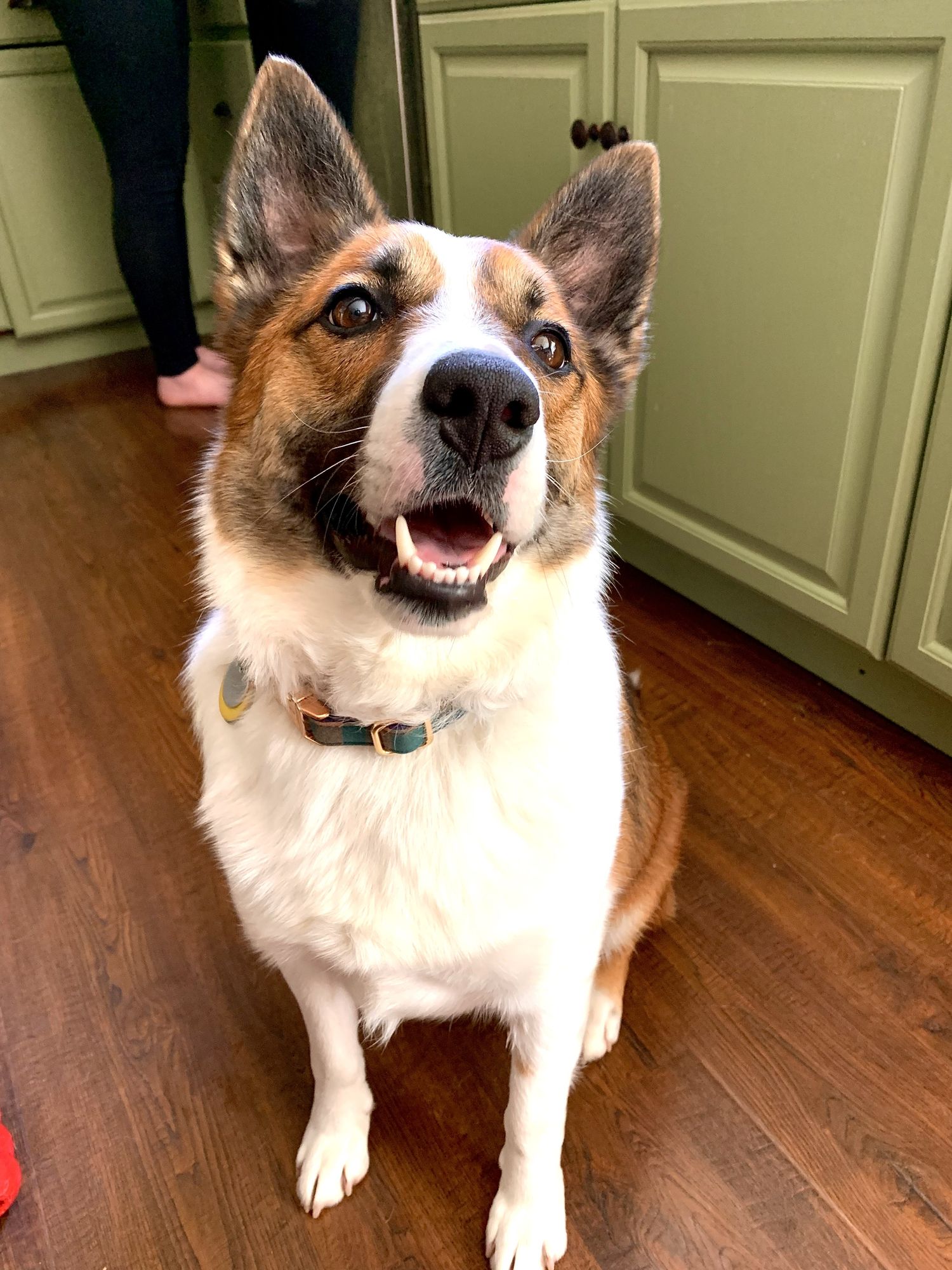 Keep original colors Pixar, Disney, concept art, 3d digital art, Maya 3D, ZBrush Central 3D shading, bright colored background, radial gradi...