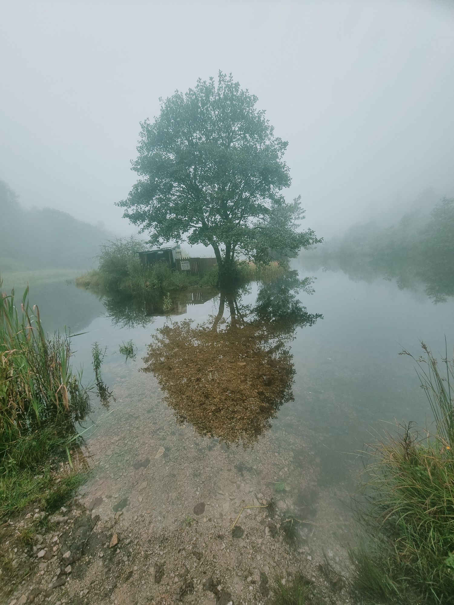 Ethereal landscape painting. Soft focus, serene atmosphere. Soft mist rises over rolling hills as sunrise divine sunlight breaks through the...