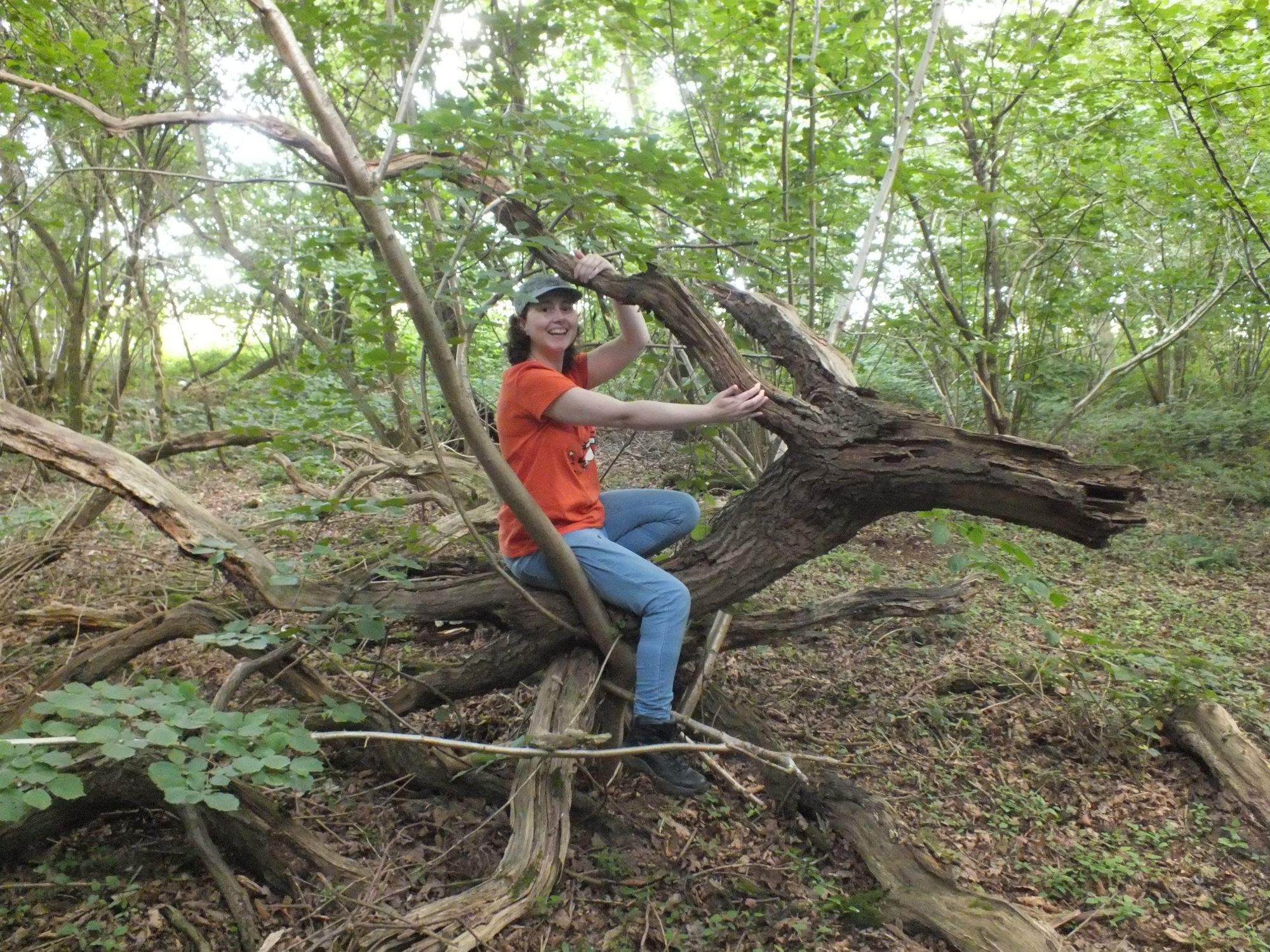 A woman riding a wood dragon in a forest. Close up portrait, ambient light, Nikon 15mm f/1.8G, by Lee Jeffries, Alessio Albi, Adrian Kuipers