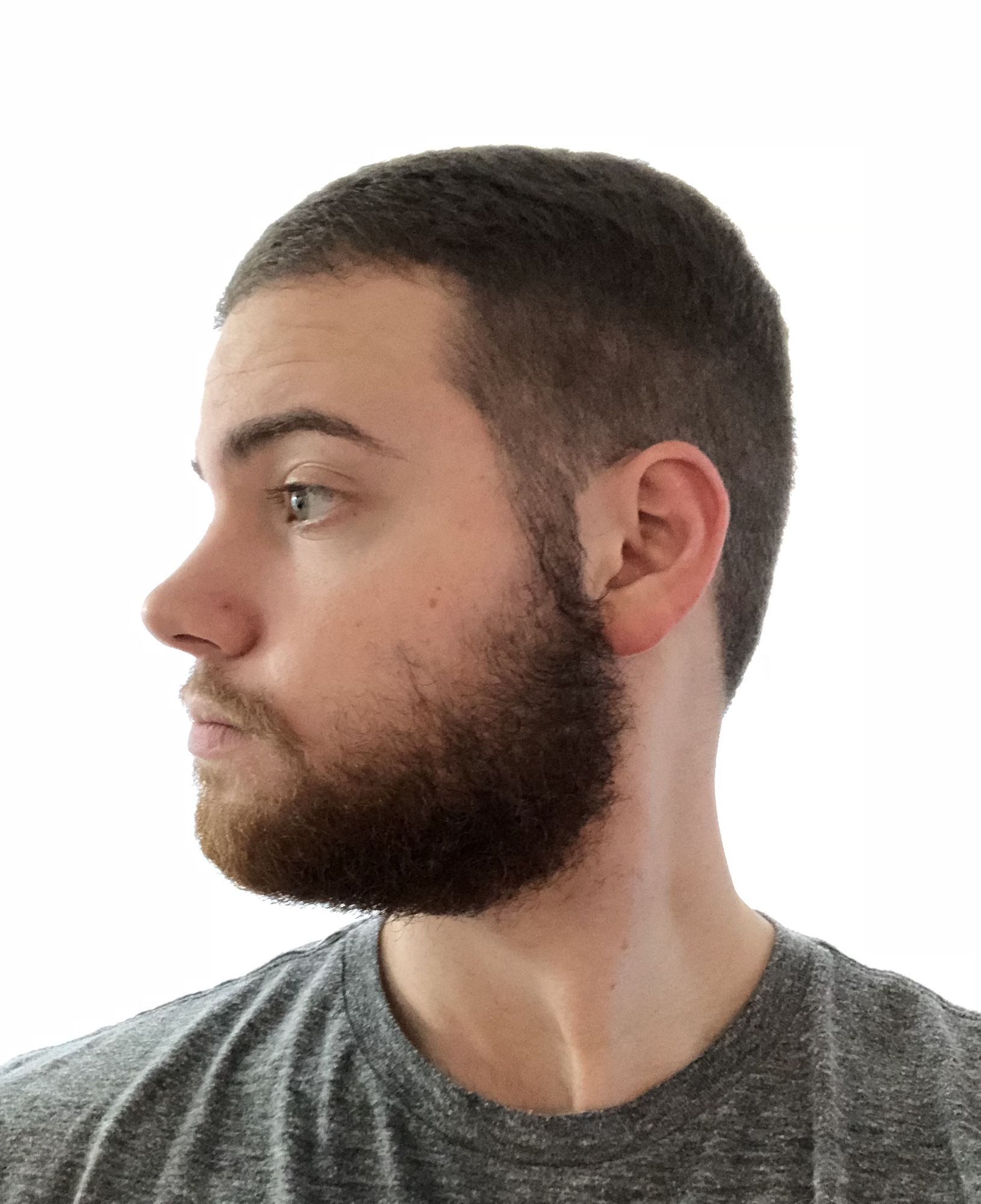Galaxy Head