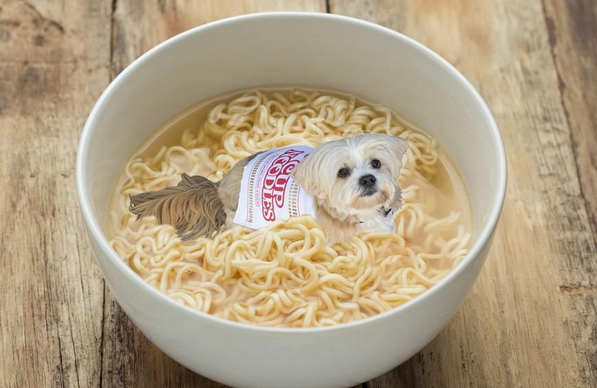Noodles