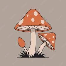 MuShRoOm-KiD