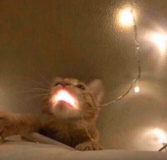 AAA battery-run artist