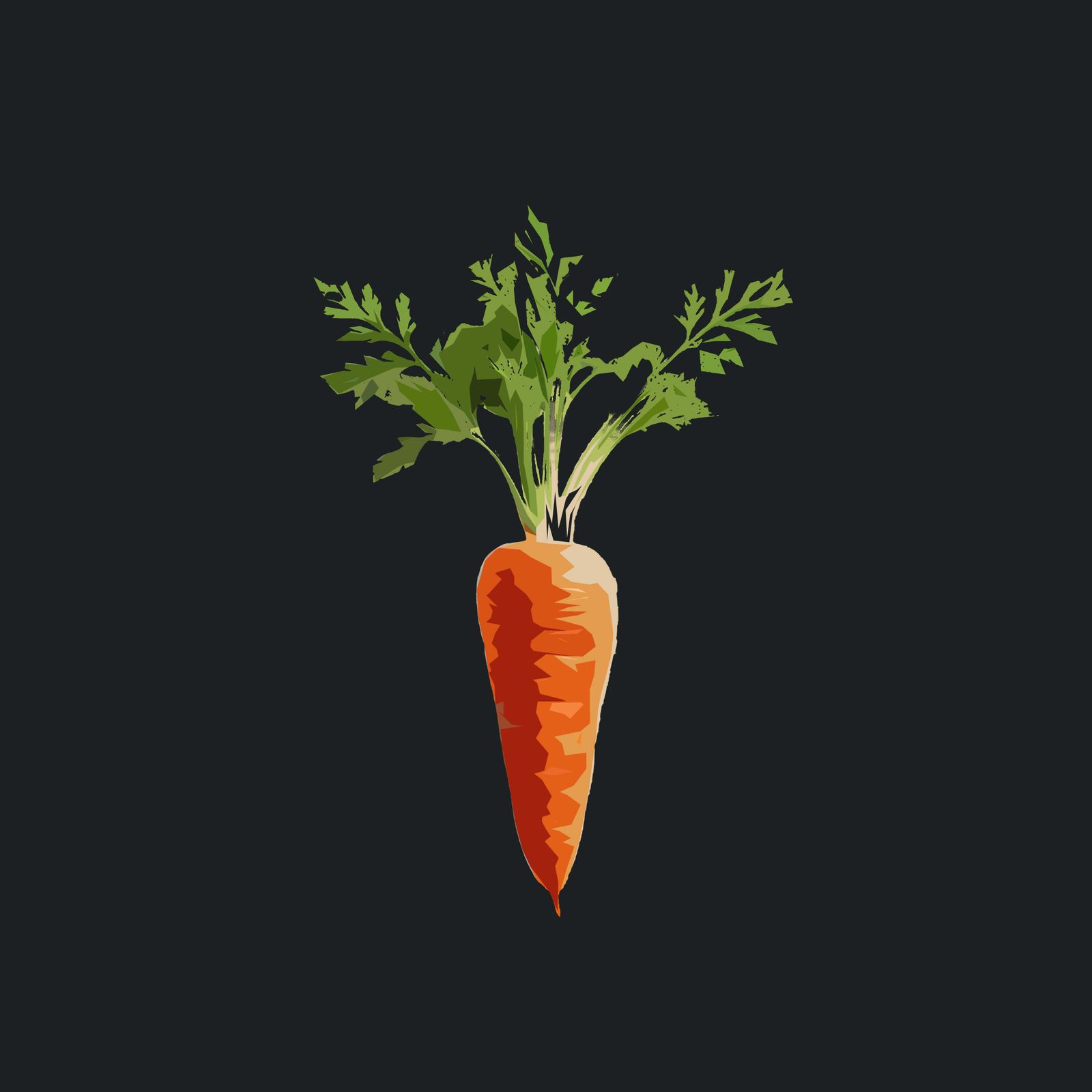 Carrot Fillet