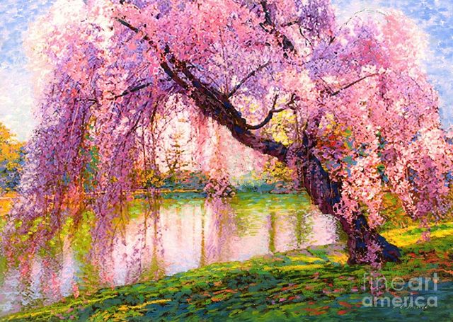 Image uploaded by user