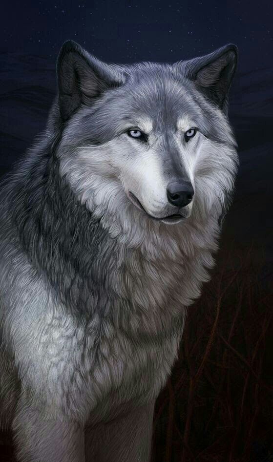 Grey Man
