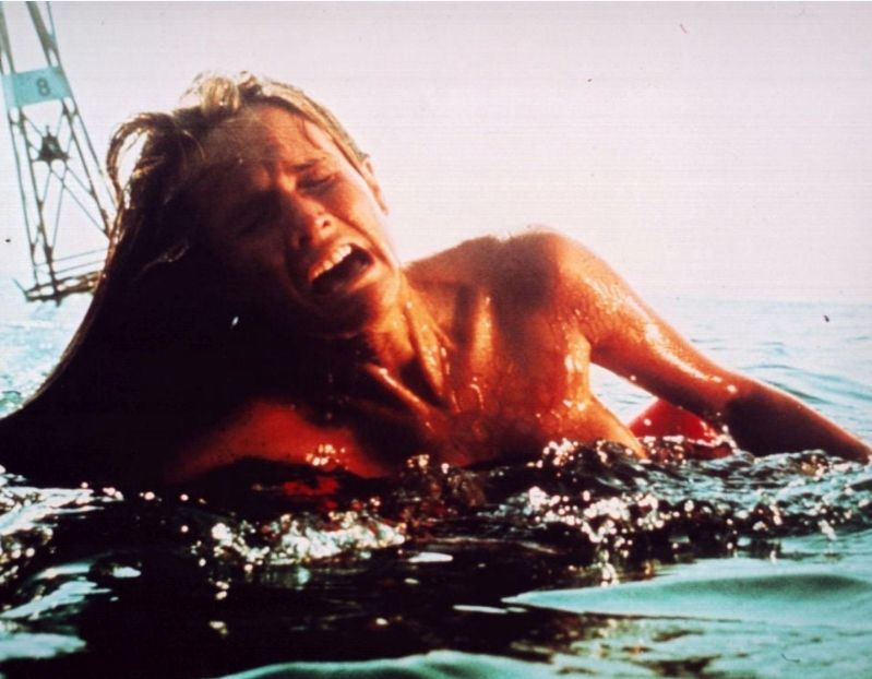 A girl is attacked by a shark