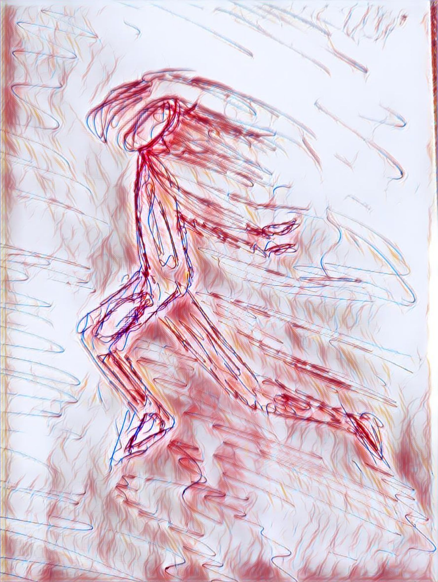 Image uploaded by user