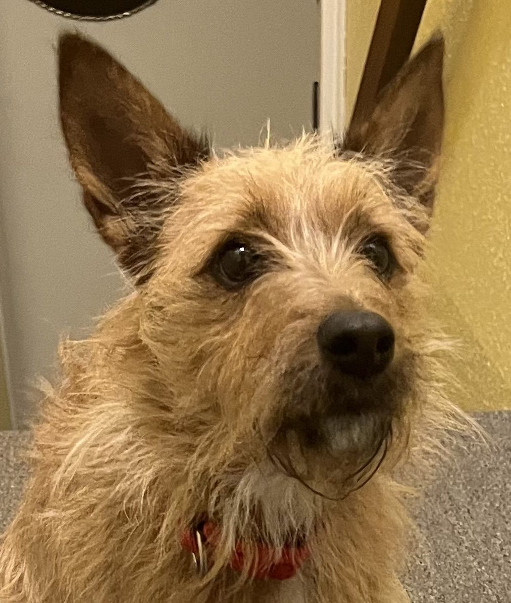 Image uploaded by user