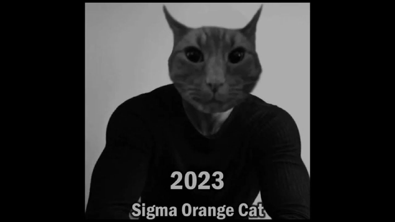 The boy who likes cats