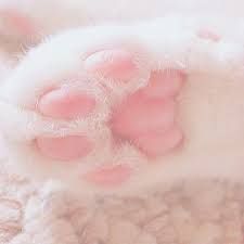 paws