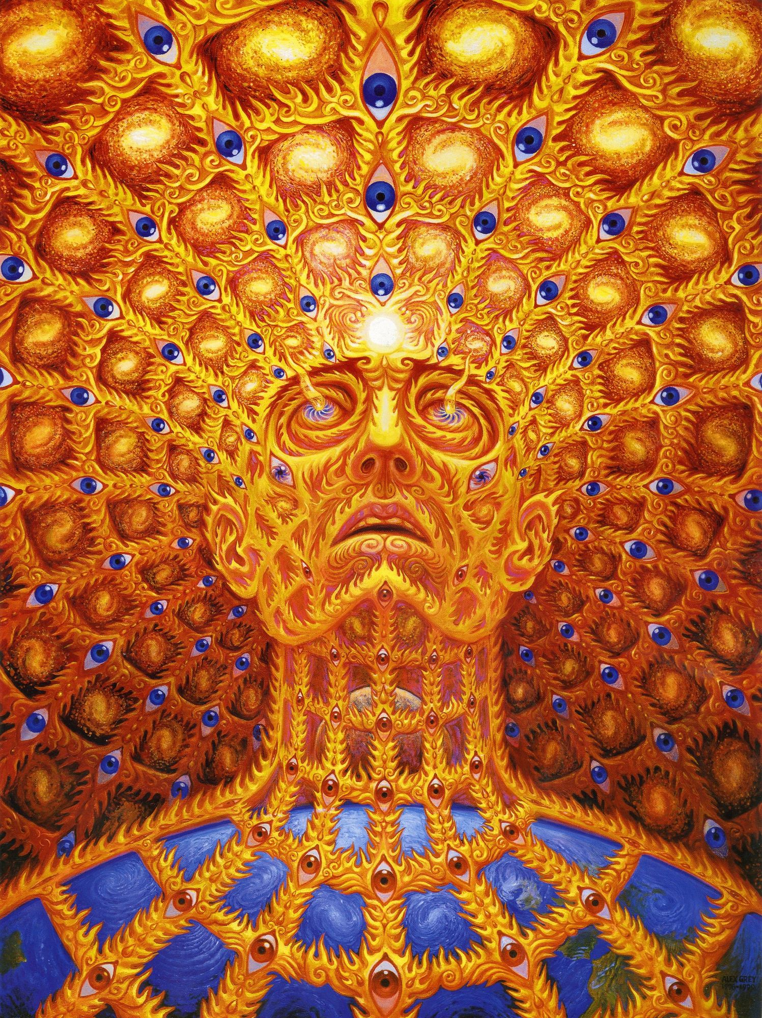 DMT Vision, Entity 