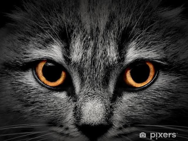 Falling into her eyes seems endless