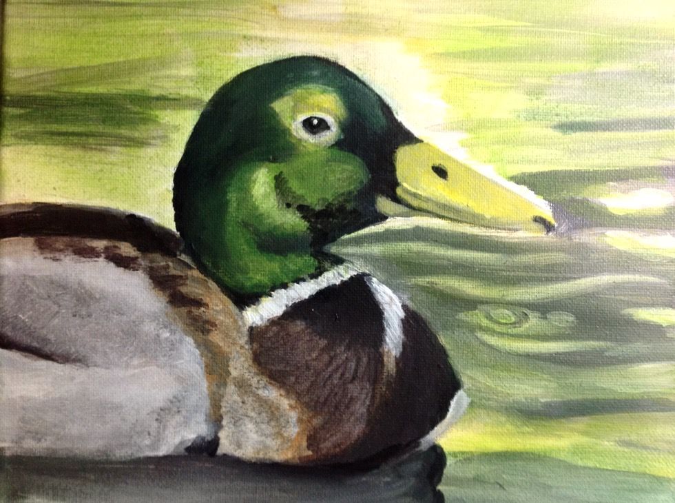 Mallard, painting