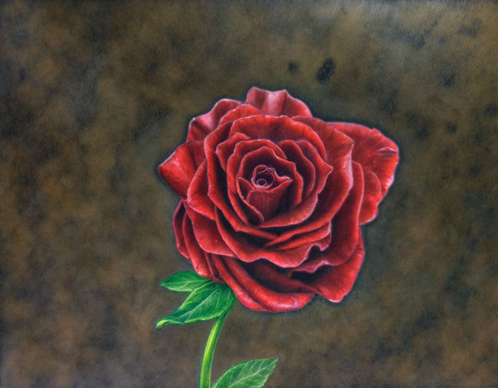 Inkrose115