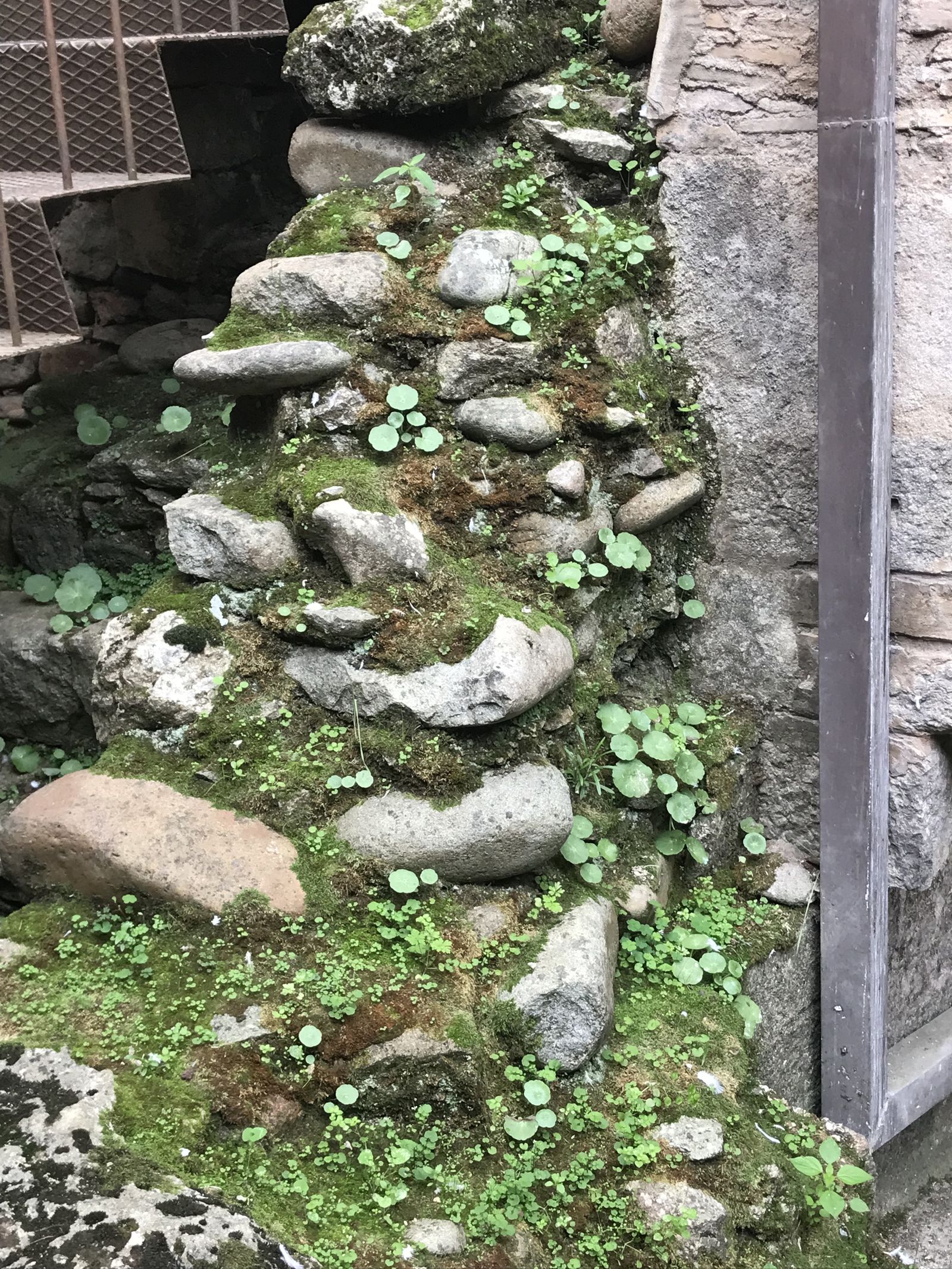 LmaoYouReallyThoughtIdHaveAGoodName