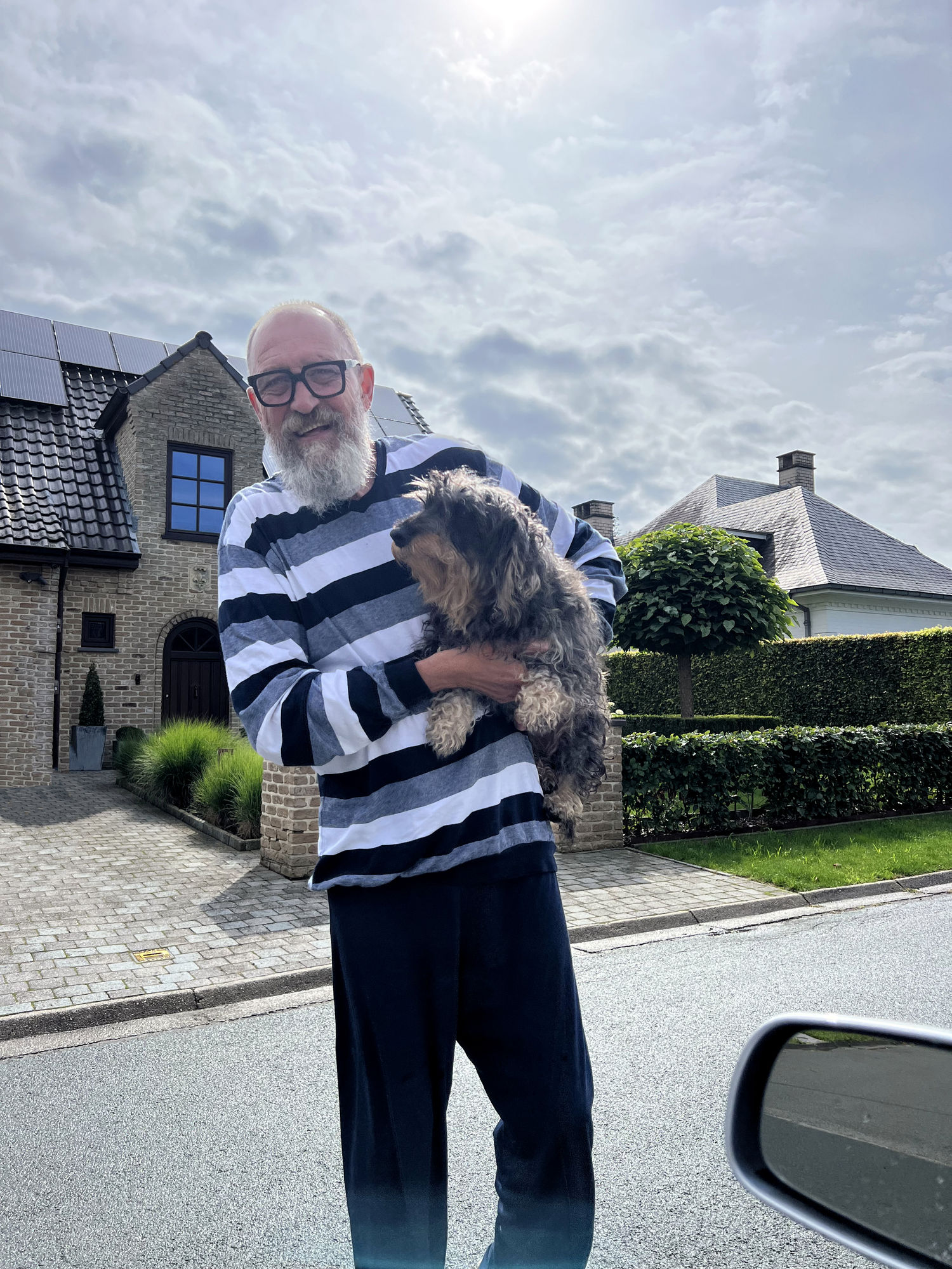 make illustration out of a picture using 
matisse paper cutting style 