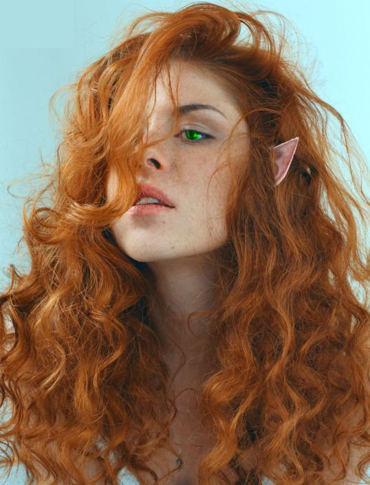 Radiance of the Wild