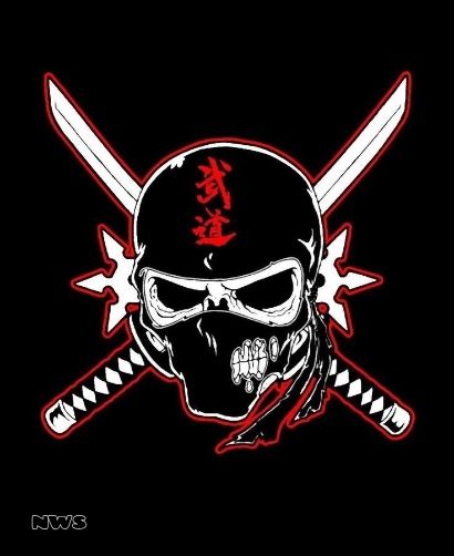 Ninja Warrior Studios