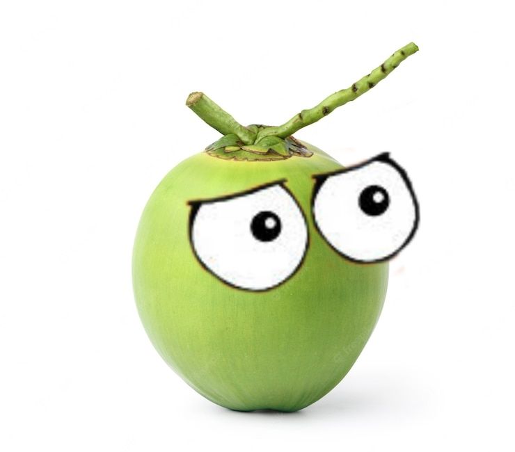 Coconut is Watching Your Art