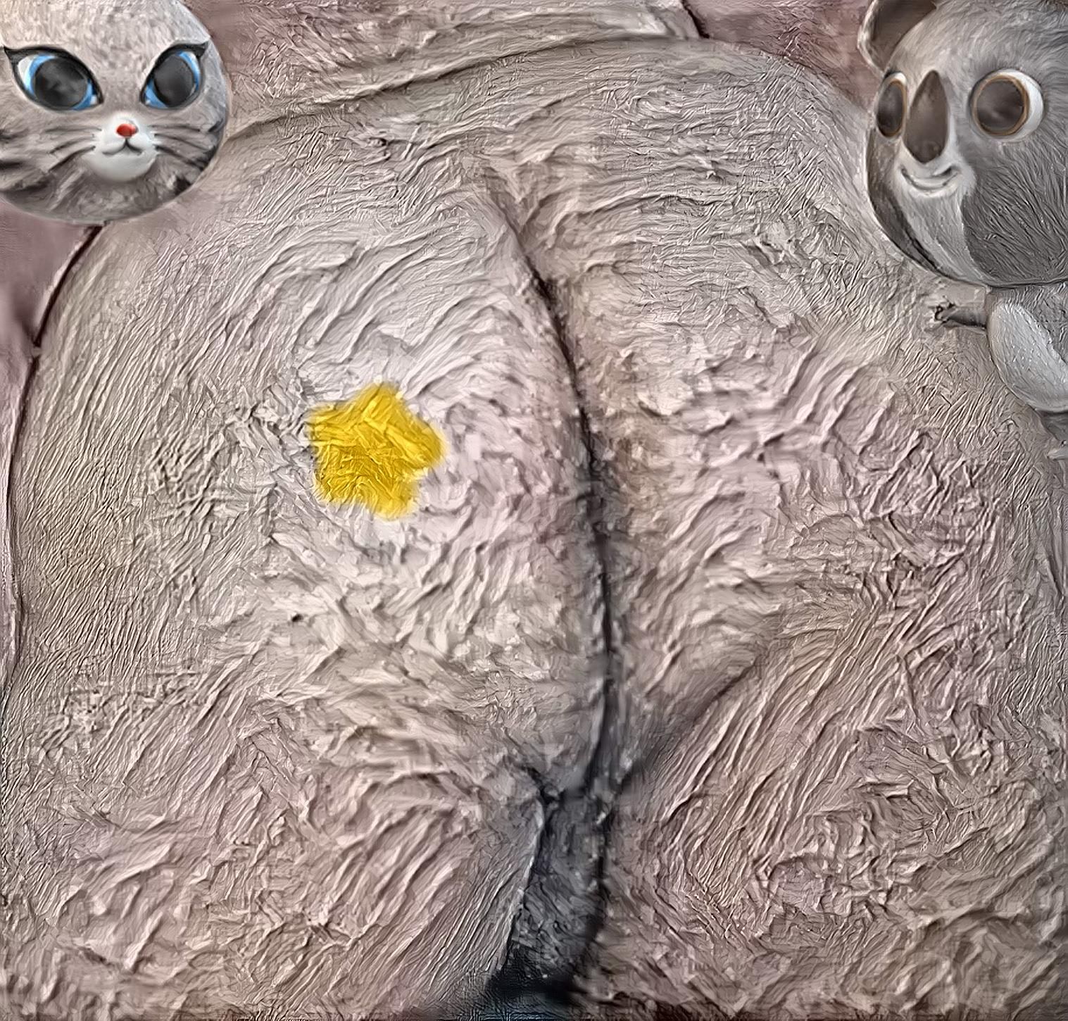 Bunda de Mel