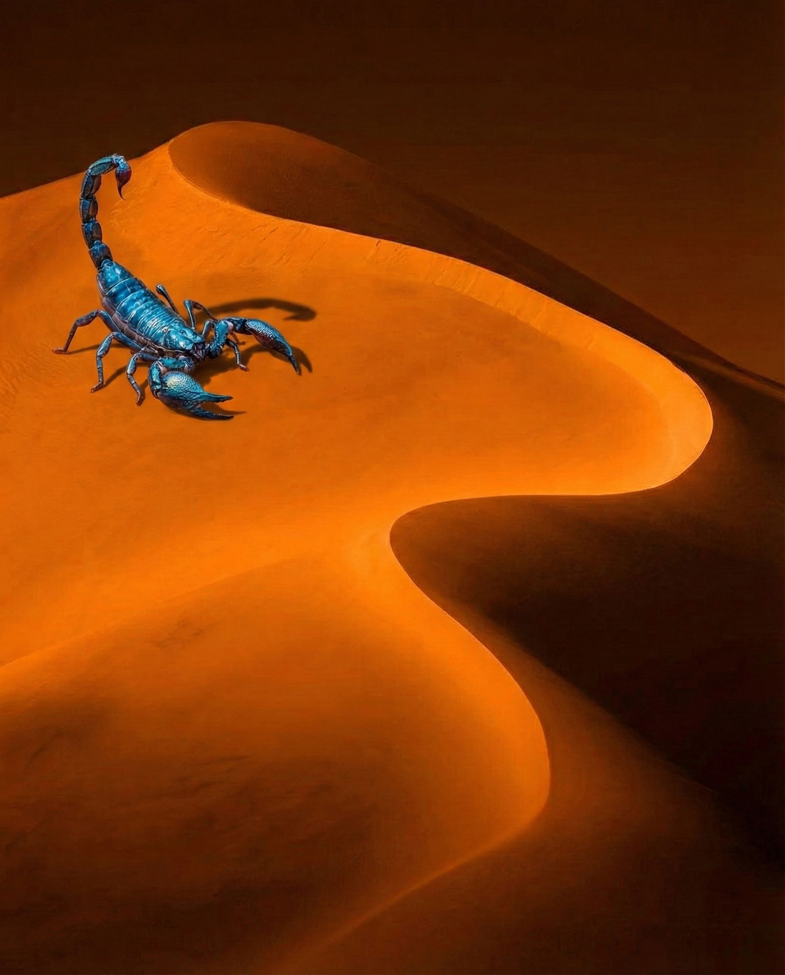 ​A photo-realistic, cinematic close-up of a deep, rich orange sand dune featuring smooth, abstract curves and a sharp ridge line that divide...