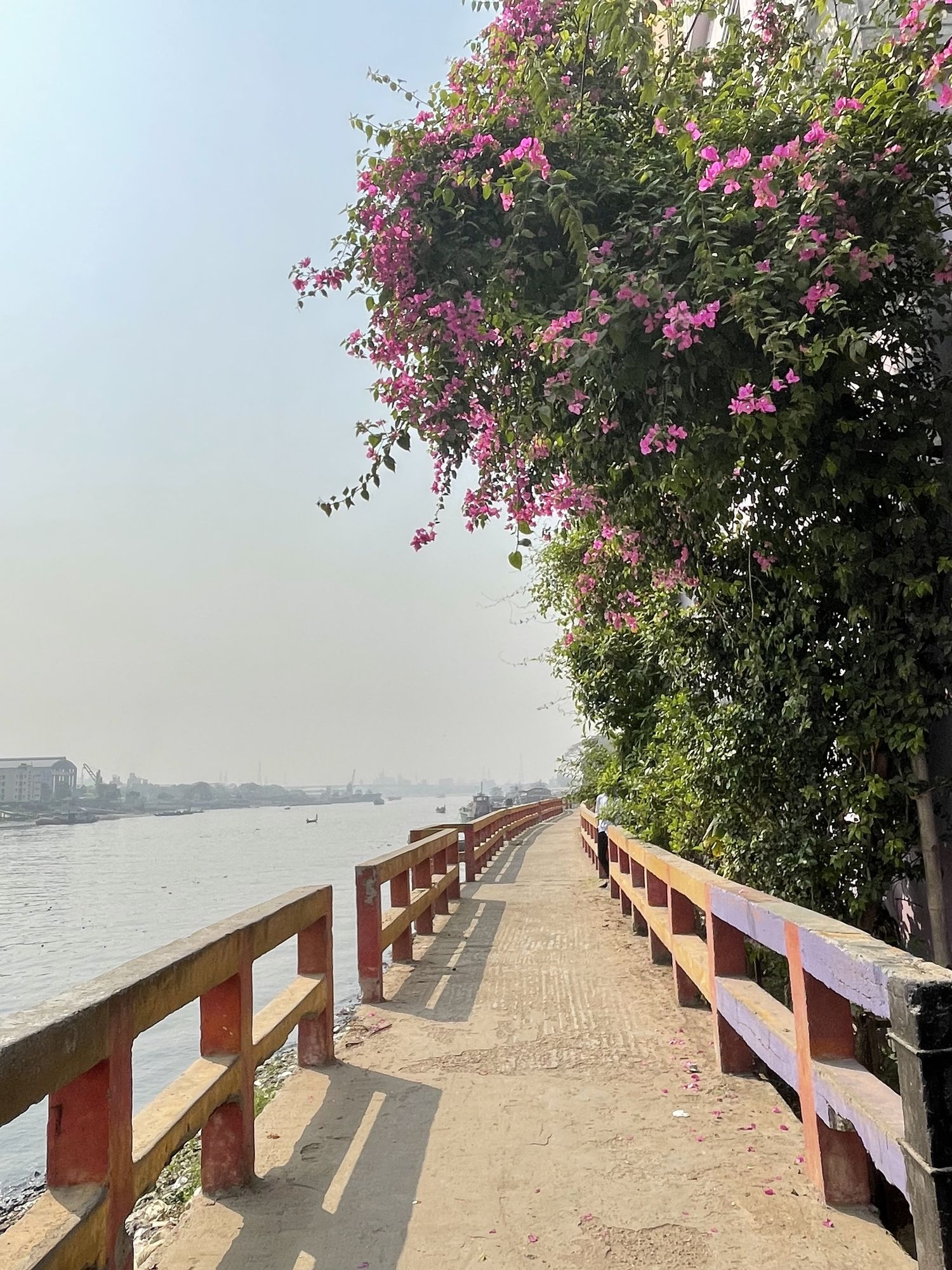 make this place to more dreamy, and realistic