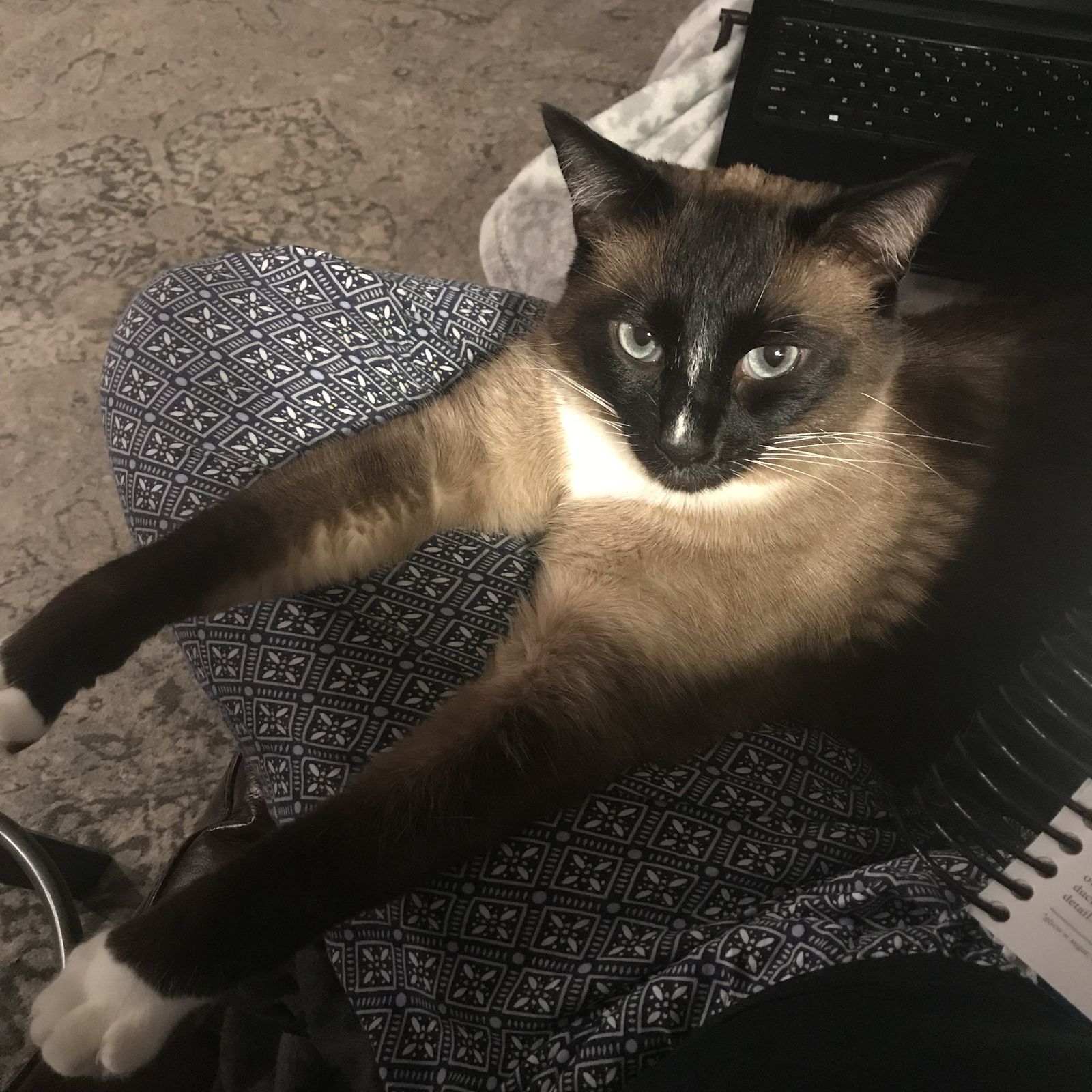 WigglesandWhiskers
