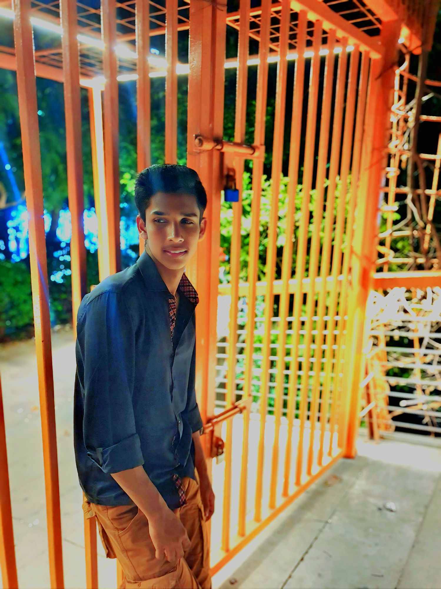 Butterfly light shine sky