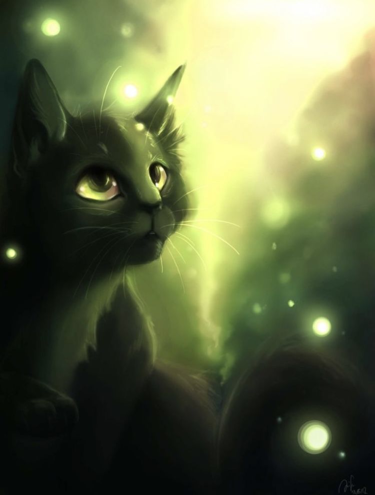 Mythic Kitten