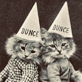 NY Dancing Queen Reminisces