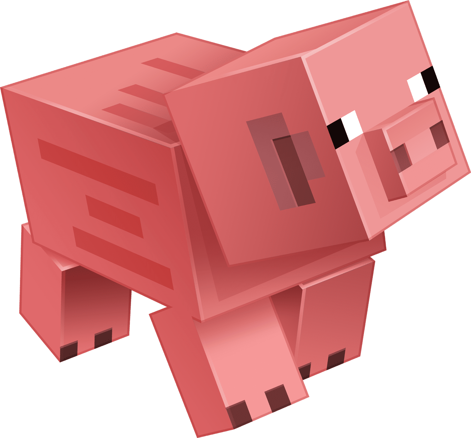 An_Pig