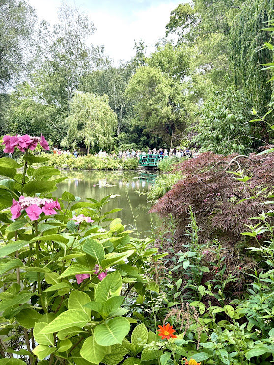 Modify the photo into an illustration that looks like a Where's Waldo book making sure to include the man with the white hair on the bridge ...