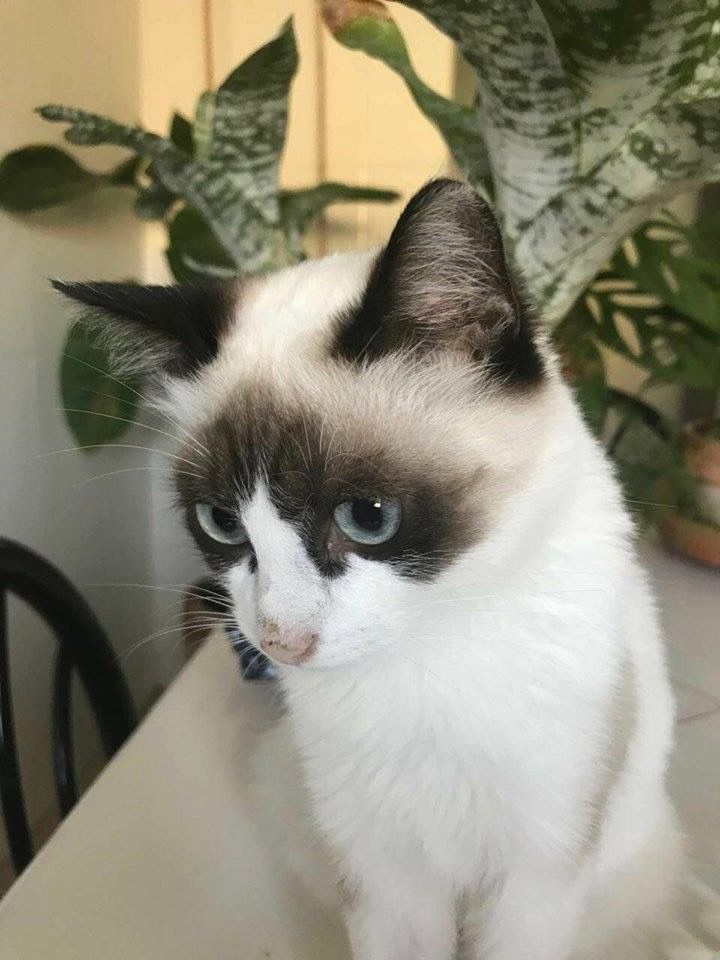 Vicki