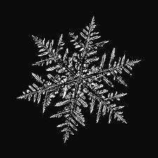 The First Ever SnowFlake