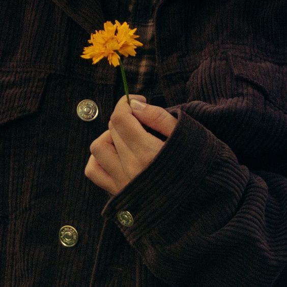 Clover
