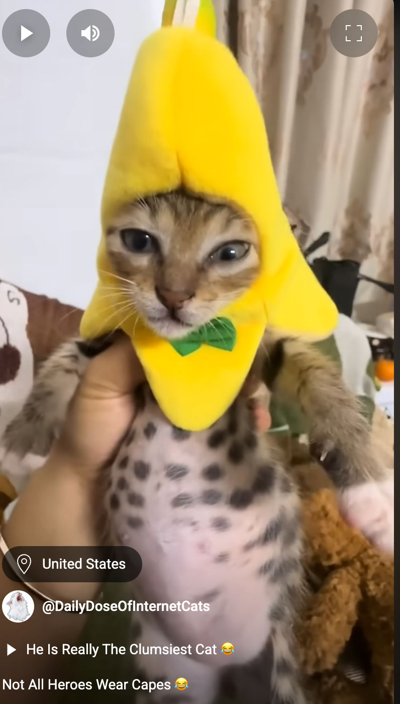 Stinky_little -goober 5753