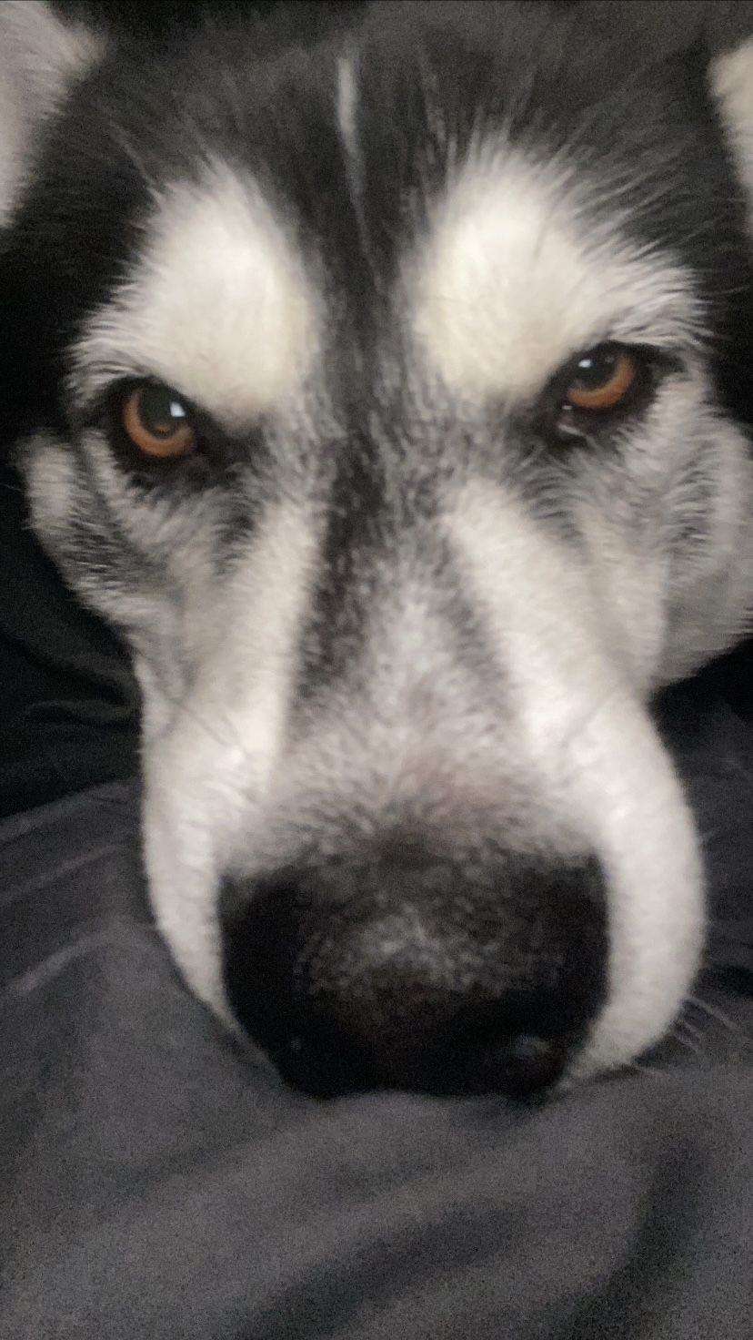 Brandon Xicotencatl Osorio