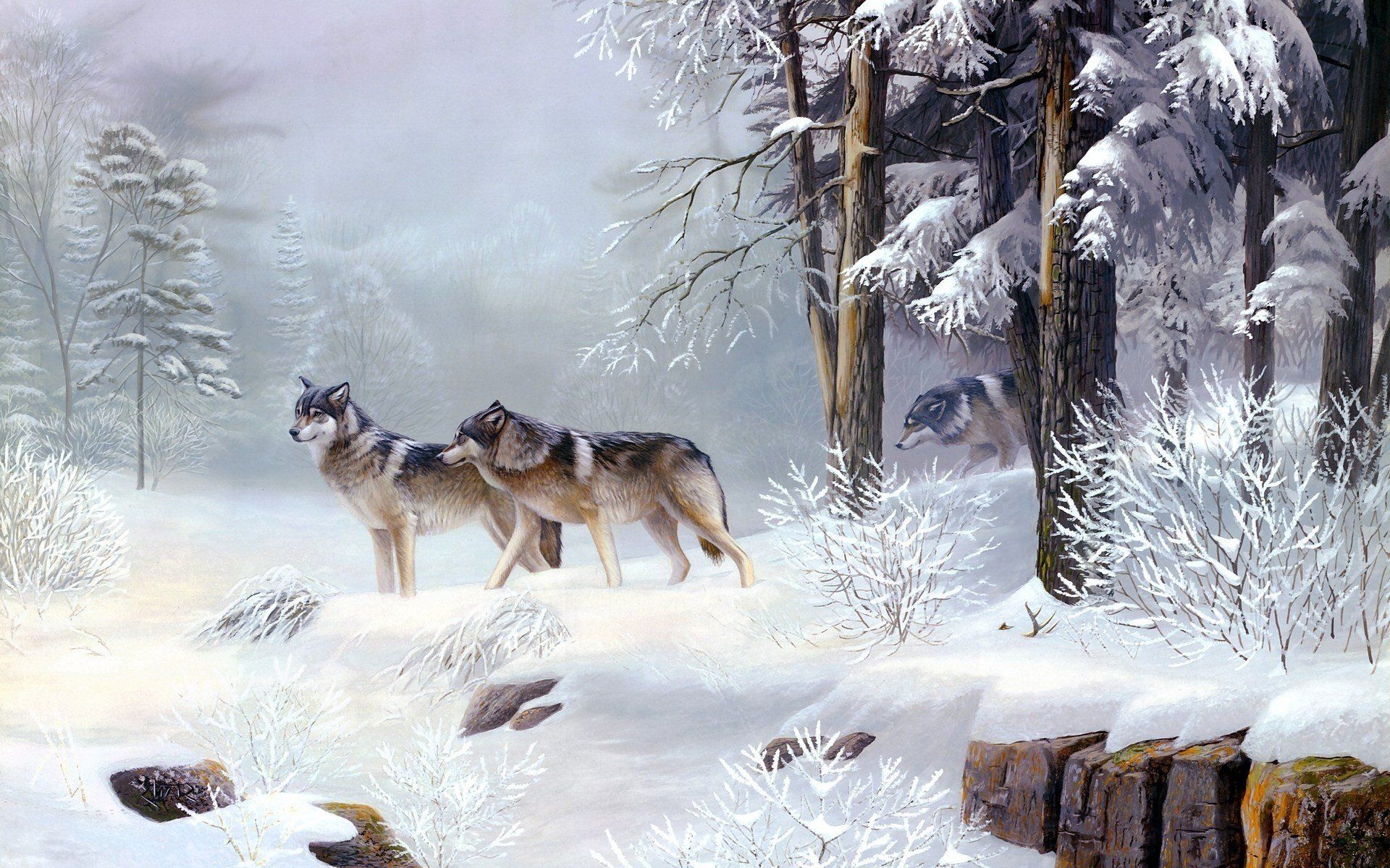 wolves