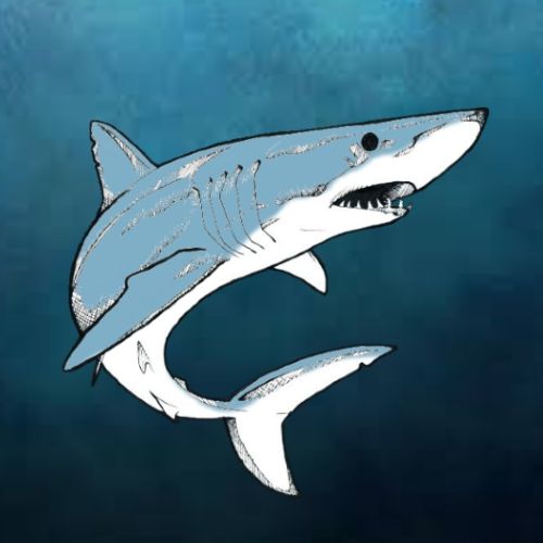 SeaShark