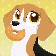 Bagel_the_Beagle