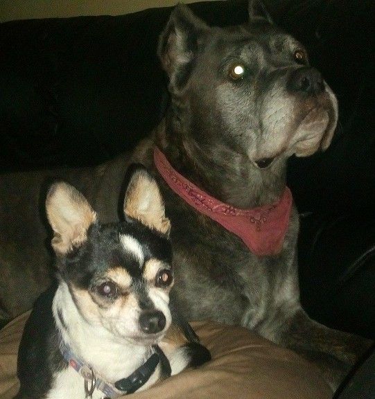 Image uploaded by user