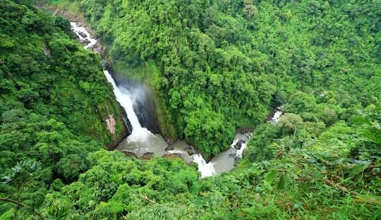 a view of a cliff in a beautiful Asian rain forest with mist in the background