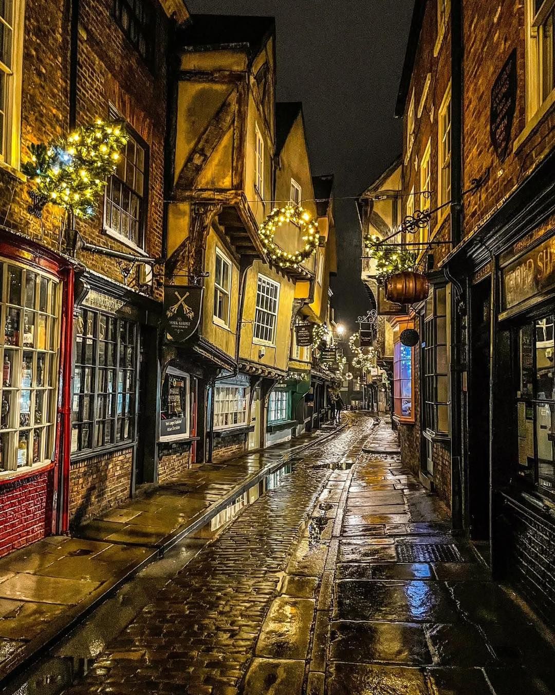 fine-tuned stylised watercolour surrounded by splashy black space
the ethereal, cinematic stylization, delicate, expressive watercolour tech...