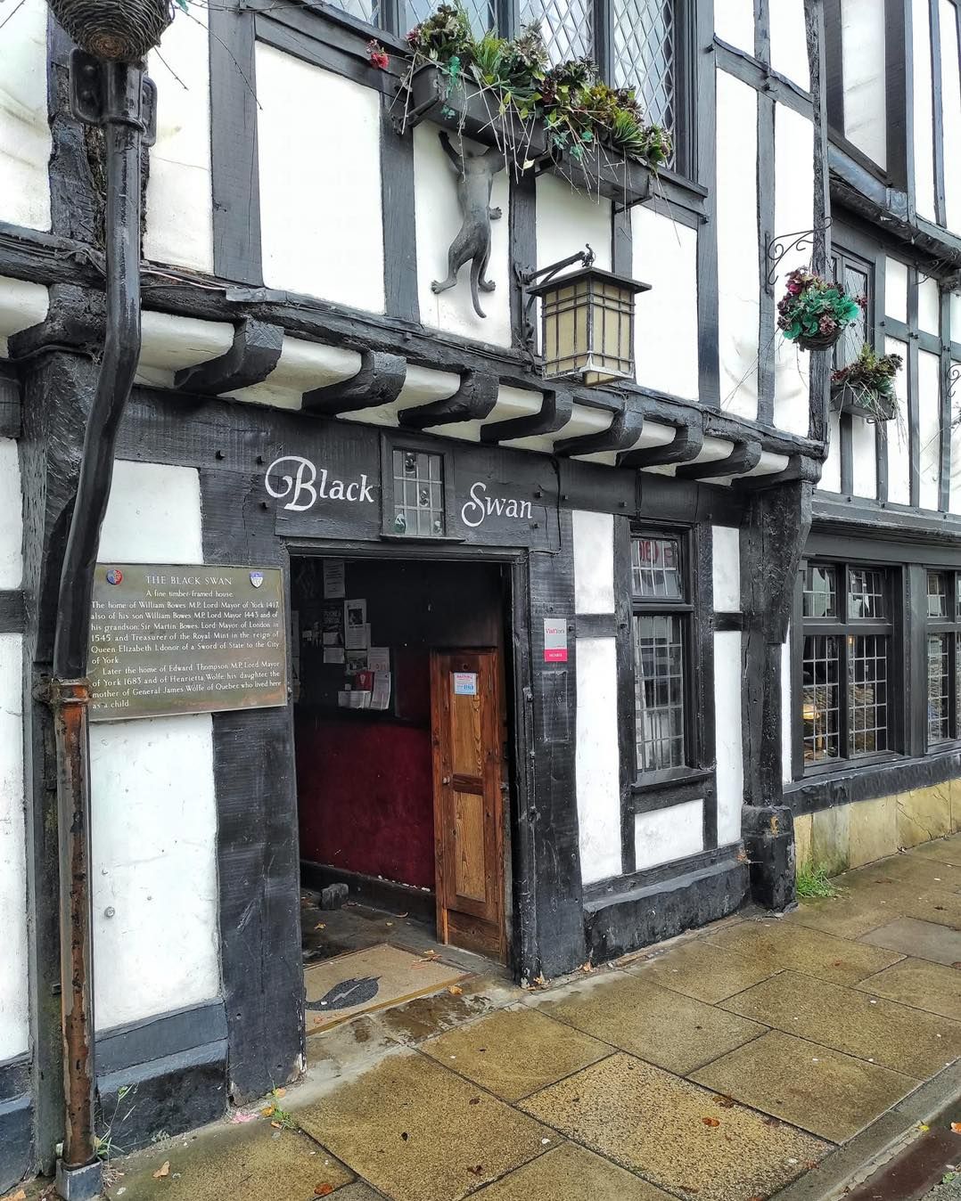 A regal cat, adorned with a tiny, ill-fitting crown, attempts to pose majestically for a portrait, but it has accidentally knocked over the ...