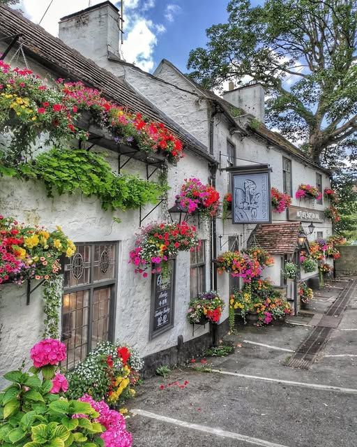 An intensely vibrant and surreal cityscape at twilight, where buildings are sculpted from solidified music and the sky rains liquid color. S...