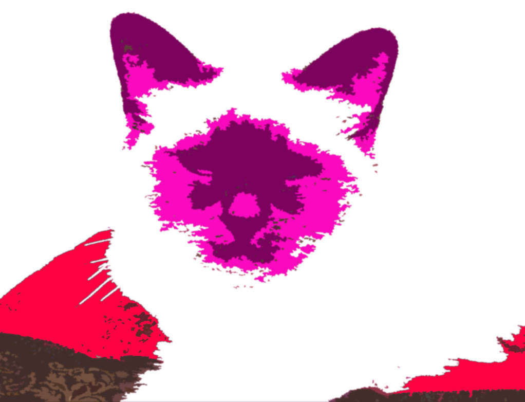 A fluffy birma cat. In the style of stencil cut-outs