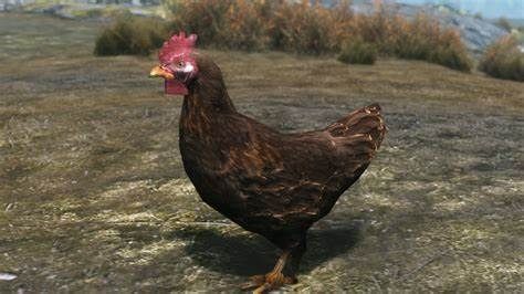 Anctas
